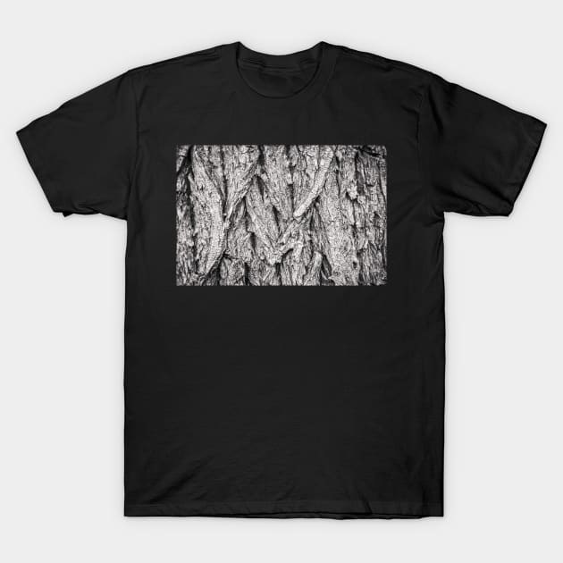 Cottonwood Tree Bark Abstract T-Shirt by Amy-K-Mitchell